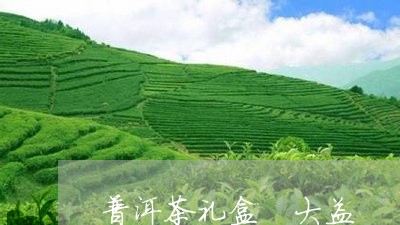 普洱茶礼盒 大益/2023041067259